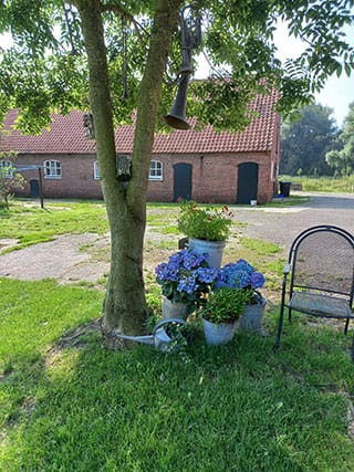 De leuve hoeve image mini campping (003)