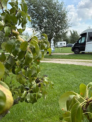 De leuve hoeve vuren mini camping (008)